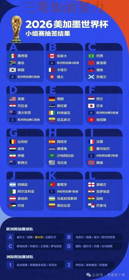汇总世界杯投注平台：从用户反馈到直播观看全流程解析 - 世界杯全球总决赛